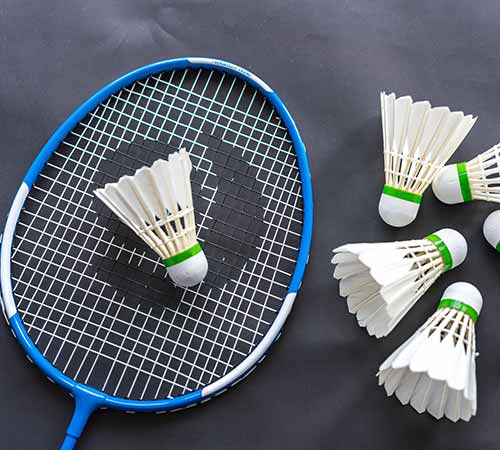 体育女排公 体育女排公